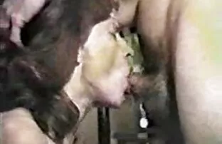 Seorang pria botak terjebak ekor panjang di mulutnya dan kemudian sex dengan teman wanita berambut berlubang di sofa.