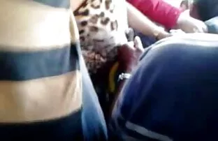 Mengambil ayam di celana umpan besar seks dengan madu