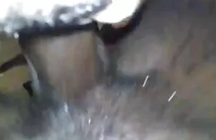 Dia mempermalukan suaminya dan menggunakan seks dengan perempuan gemuk dia sebagai mandi sementara mencukur di mulutnya.
